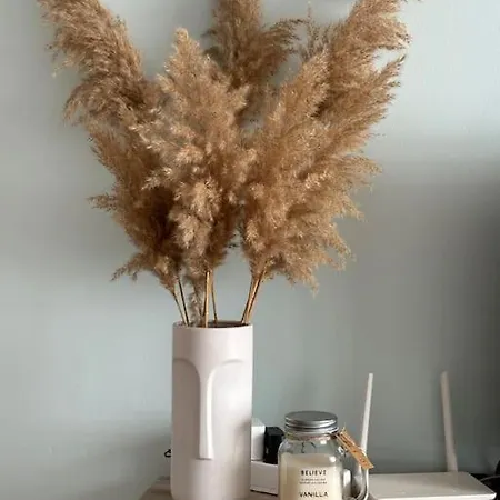 Apartment Sis *